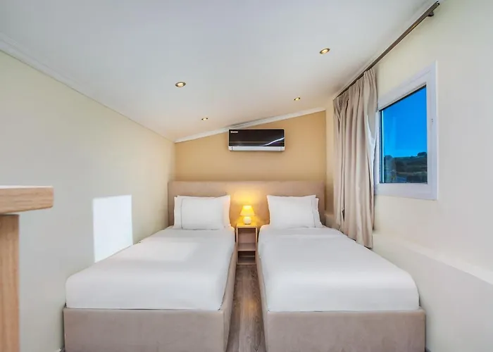 Sunny Grande * 卡尼奥提