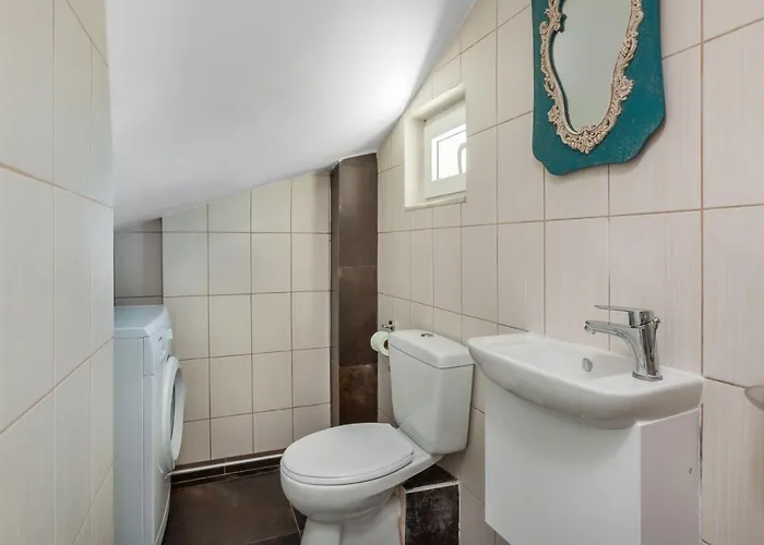 Sunny Grande * 卡尼奥提